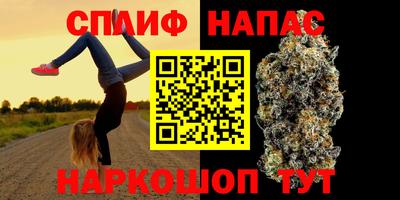 СК Рязань