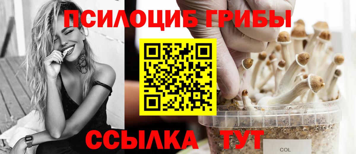 Янаул  Псилоцибиновые грибы Cubensis  Вход с VPN 